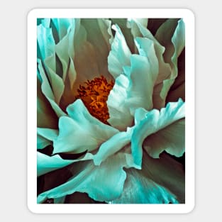 White Peony Petals Sticker